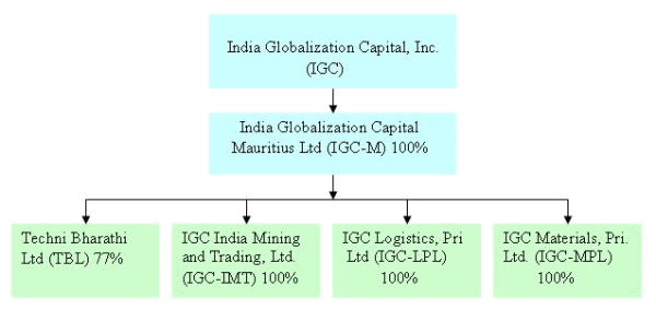 IGC businesses