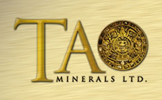 TAON logo